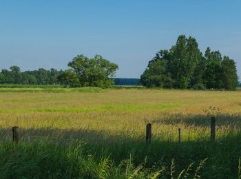 Tocht Te voet Wallenhorst - Hollager Rundwanderweg Nr.2 - Photo