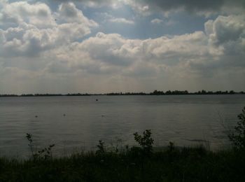 Trail On foot De Ronde Venen - Waardassackerroute - Photo