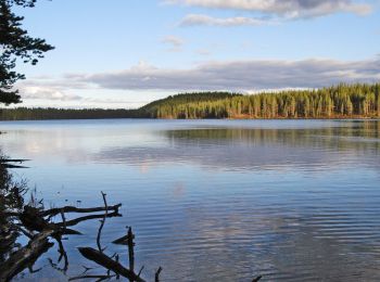 Randonnée A pied Suomussalmi - Huosiuksen Huikoinen - Photo
