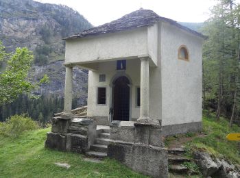 Tour Zu Fuß Evolène - Volvovron - L'A Vieille - Photo