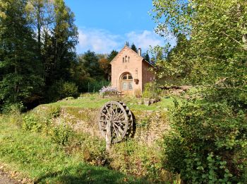 Tour Wandern Oberhaslach - mutzig rocher - Photo