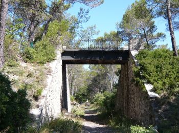 Randonnée A pied Gréasque - La forêt de Gréasque - Photo