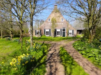 Excursión A pie Steenwijkerland - WNW WaterReijk - Kadoelen - groene route - Photo