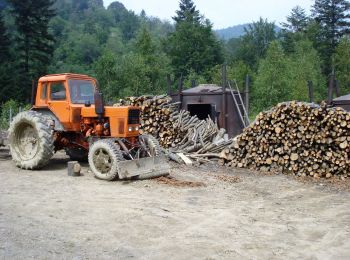 Randonnée A pied Bukowiec - Ścieżka przyrodnicza na Korbanię - Photo