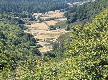 Trail Walking Val-d'Aigoual - PLO de VALBELLE  - Photo