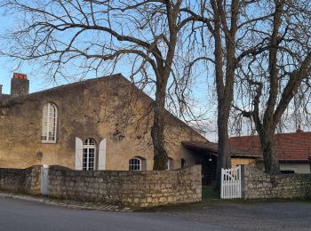 Excursión Senderismo Gézoncourt - gezoncourt - bois du haut pargé - Photo