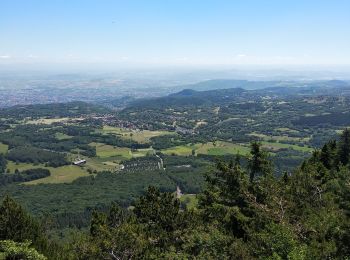 Trail Walking Orcines - Ceyssat,Puy de Dôme  - Photo