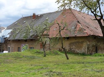 Excursión A pie Dippoldiswalde - Schloss Naundorf - Pöbeltal - Photo