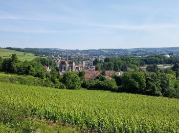 Trail Walking Château-Thierry - Château - Aulnois - Château du 26/05/2020 - Photo