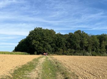 Tocht Stappen Ouffet - Ellemelle - Photo