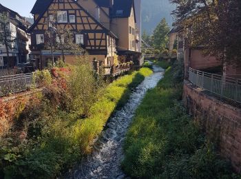 Tocht Stappen Schramberg - Schramberg - Châteaux de Falkenstein et de Hohenschramberg - Photo