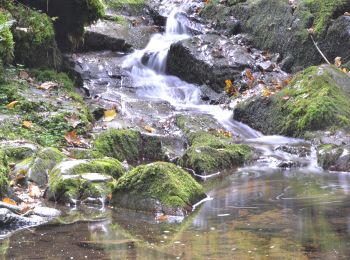 Percorso Marcia Ceyrat - Ceyrat_Gorges_Artiere - Photo