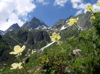 Percorso A piedi Gurtnellen - Leutschachhütte SAC Hüttenweg - Photo