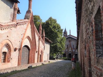 Tour Wandern Sant'Ambrogio di Torino - Rome_52_Sant Ambrogio_Torino_20180911 - Photo