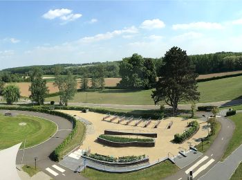 Randonnée A pied Lubbeek - Koebos Rode driehoek - Photo