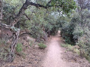 Tocht Stappen Tossa de Mar - Wikiloc - GR 92- Catalunya - J2 - Tossa de Mar - Sant Feliu de Guixols - Photo