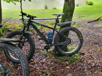 Randonnée Vélo électrique Mertzen - sortie vtt 3 puissances - Photo