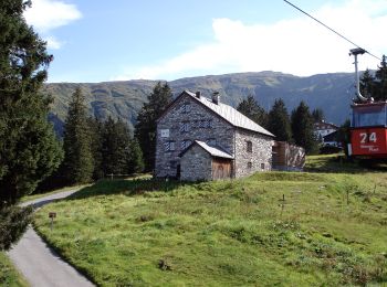 Tour Zu Fuß Mels - Rütiwald - Garschlu - Photo