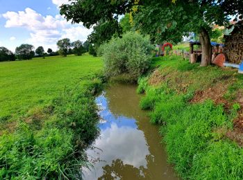 Excursión A pie Lonnerstadt - Rundweg Lonnerstadt L2 - Photo