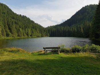 Excursión A pie Sankt Lambrecht - Wanderweg Nr. 14 - Photo