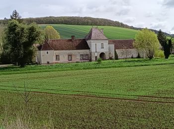 Trail Walking Bucey-en-Othe - Bucey en Othe - Photo