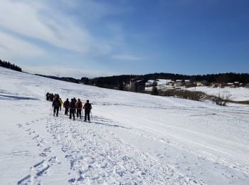 Tocht Stappen Prémanon - B Jura - journée du mercredi 22-01-2020 - Lamoura / Forêt du Massacre - Photo