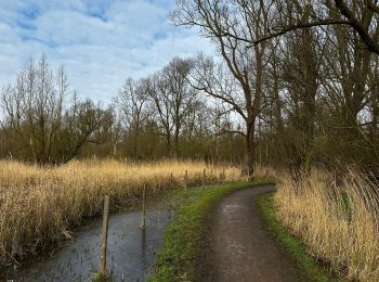 Trail Walking Antwerp - Le polder de Hoboken - Photo