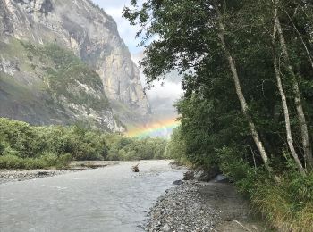 Tour Zu Fuß Kandersteg - Waldhaus - Pletschenweidli - Photo