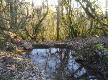 Randonnée Marche Premeaux-Prissey - Prémeaux-Prissey Combe Saumaise, source de Fontenoie - Photo