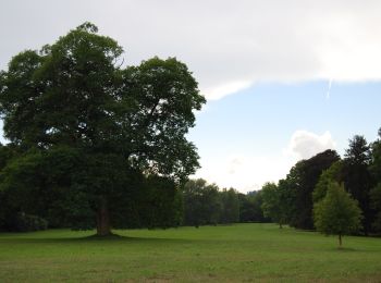 Tocht Te voet Orlík nad Vltavou - Okružní trasa - park - Photo