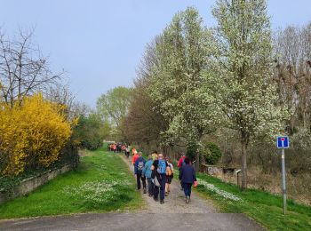 Tocht Stappen Bourg-et-Comin - Bourg et Comin après-midi du 21-03-2024 - Photo