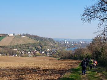 Tour Wandern Collemiers - 220403 Collemiers  - Photo