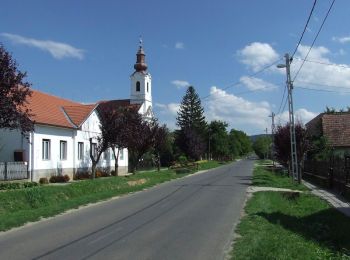 Tocht Te voet Szólád - P3 (Szólád - DDP) - Photo