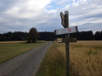 Percorso A piedi Stadlern - Bayern-Böhmen-Runde 1 - Photo