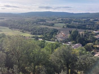 Randonnée Marche Clansayes - Clansayes Montsègur-sur-Lauzon 18km. - Photo