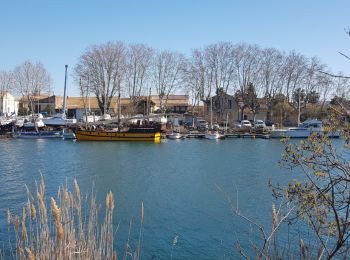 Tour Nordic Walking Agde - Agde - Grau d'Agde - Etang du Clos de Vias - Photo