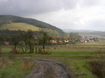 Percorso A piedi Hředle - NS Údolí ticha - Photo