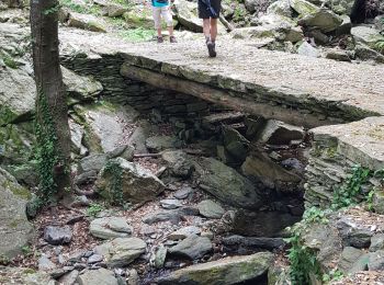 Tocht Stappen Luri - Cap Corse - Tour de Sénèque  - Photo