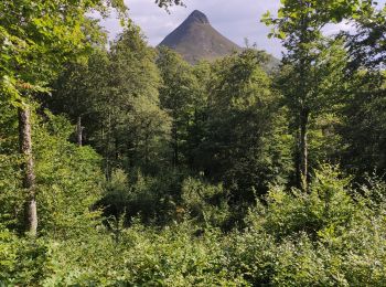 Randonnée Marche Mandailles-Saint-Julien - Col du perthus puy Griou - Photo