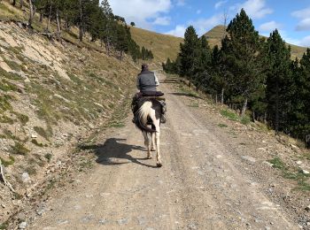 Tocht Paardrijden Torla-Ordesa - Parc national d’Ordessa J2 - Photo