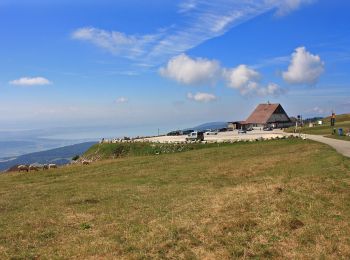 Tocht Te voet Lignières - Lignières - Chasseral Hôtel - Photo