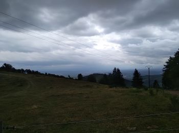 Randonnée Marche Bourbach-le-Haut - Le sentier géologique du Rossberg - Photo