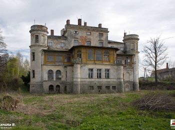 Randonnée A pied Jordanów Śląski - Jordanów Śląski - Starzec - Photo