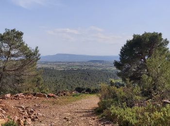 Trail Walking Caunes-Minervois - LaMatte14avril2022 - Photo