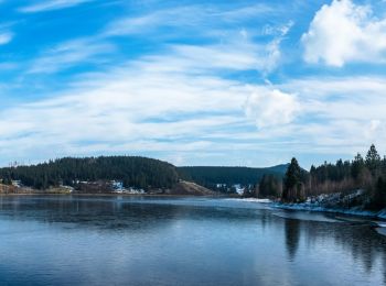 Tocht Te voet Harz (LK Goslar) - Eckertalsperren-Rundweg - Photo