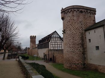 Tocht Stappen Obernai - Obernai - Boersch - Photo