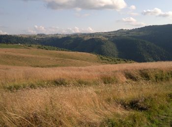 Randonnée A pied  - rasca trail - Photo