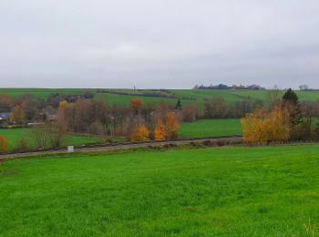 Trail Walking Ham-sur-Heure-Nalinnes - Balade à Cours-sur-Heure - Photo