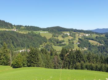 Randonnée Marche Gorenja vas-Poljane - zapreval Martini vrh - Photo