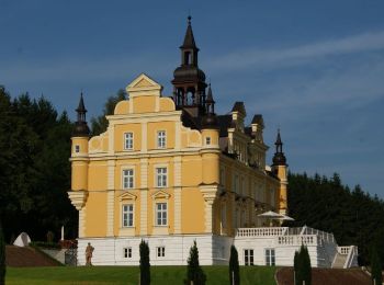 Tour Zu Fuß Gutau - Rundweg Gutau - Photo